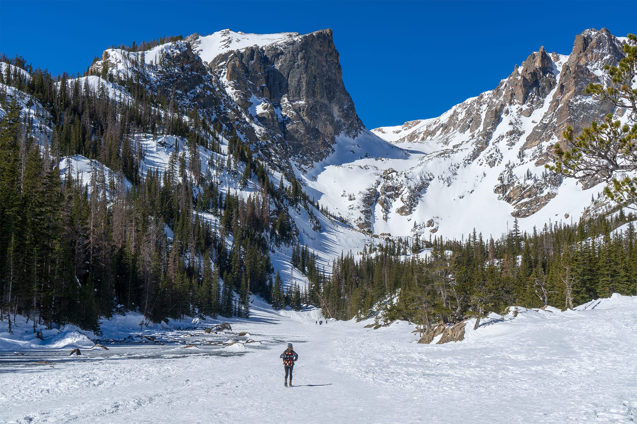 Snowshoe Adventure, Rocky Mountain National Park 1 Day United